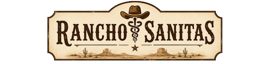 Logo eHealth Solutions Portal